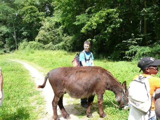 Le Parc 19 juillet 2012 (22).jpg